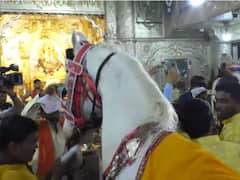Ashadhi Wari 2022 : माऊलींच्या अश्वांची श्रीमंत दगडूशेठ गणपतीला अनोखी मानवंदना, मंदिराच्या सभामंडपात अश्वांचा प्रवेश