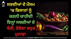 Vegetables cultivation: ਸਰਦੀਆਂ ਦੇ ਮੌਸਮ ‘ਚ ਕਿਸਾਨਾਂ ਨੂੰ ਕਰਨੀ ਚਾਹੀਦੀ ਇਨ੍ਹਾਂ ਸਬਜ਼ੀਆਂ ਦੇ ਖੇਤੀ, ਹੋਵੇਗਾ ਬਹੁਤ ਮੁਨਾਫ਼ਾ