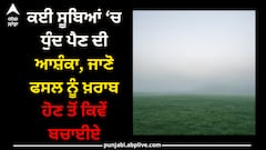 Crops: ਕਈ ਸੂਬਿਆਂ ‘ਚ ਧੁੰਦ ਪੈਣ ਦੀ ਆਸ਼ੰਕਾ, ਜਾਣੋ ਫਸਲ ਨੂੰ ਖ਼ਰਾਬ ਹੋਣ ਤੋਂ ਕਿਵੇਂ ਬਚਾਈਏ