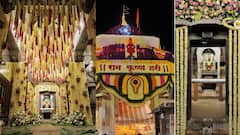 650 किलो शेवंती, 180 किलो भगवा झेंडू अन् 300 किलो अष्टराची फुलं; लक्ष्मीपूजनासाठी विठुरायाच्या गाभाऱ्याला आकर्षक सजावट