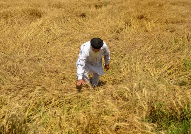 ਕਿਸ਼ਤ ਆਉਣ ਤੋਂ ਪਹਿਲਾਂ ਤੁਸੀਂ ਆਪਣੀ ਸਟੇਟਸ ਦੀ ਜਾਂਚ ਜ਼ਰੂਰ ਕਰ ਸਕਦੇ ਹੋ। ਇਸ ਦੇ ਲਈ ਤੁਹਾਨੂੰ ਪ੍ਰਧਾਨ ਮੰਤਰੀ ਕਿਸਾਨ ਯੋਜਨਾ ਦੀ ਅਧਿਕਾਰਤ ਵੈੱਬਸਾਈਟ pmkisan.gov.in 'ਤੇ ਜਾਣਾ ਪਵੇਗਾ। ਇੱਥੇ ਹੋਮ ਪੇਜ 'ਤੇ, 'ਲਾਭਪਾਤਰੀ ਸਥਿਤੀ' (Beneficiary Status) 'ਤੇ ਕਲਿੱਕ ਕਰੋ।