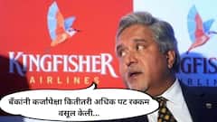 घेतलेल्या कर्जापेक्षा जास्त रक्कम बँकांनी वसूल केली, विजय मल्ल्याची न्यायालयात याचिका