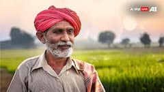 PM Kisan : पीएम किसानच्या 19 व्या हप्त्याचे 2000 रुपये कधी मिळणार? सरकारकडून पहिल्यांदा अधिकृत अपडेट