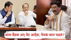 Dhananjay Munde Resignation: देवेंद्र फडणवीस आग्रही, पण धनंजय मुंडे तयार नव्हते; काल बैठक अन् थेट आदेश, नेमकं काय घडलं?