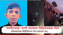 पाणीटंचाई... गावात पाणी नसल्याने 8वीचा कृष्णा विहिरीवर पोहोचला, शाळकरी मुलाचा अचानक तोल गेला अन्...