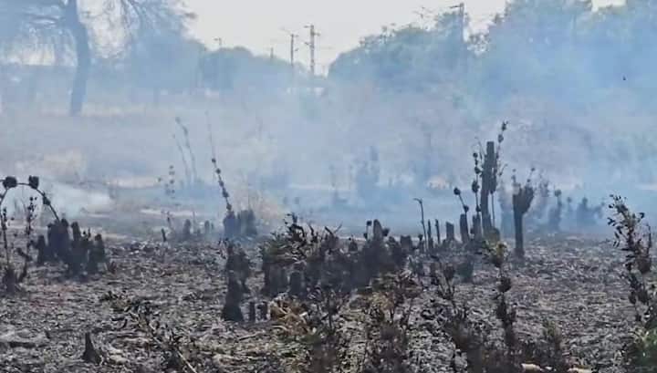 जळगावच्या कजगावमध्ये बांबूच्या पिकाला आग लागल्याची घटना घडली आहे.