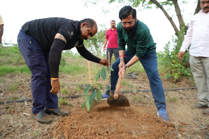 आज केलेल्या पहिल्या प्रयत्नात त्यांनी स्वतः हातात फावडे आणि झारी घेत आवाकाडोचे झाड लावले.