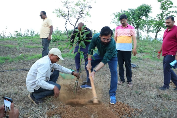 उपमुख्यमंत्री एकनाथ शिंदे हे पुन्हा शेतीत रमल्याचे पाहायला मिळालं.