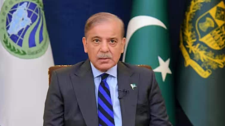 pakistani-pm-shahbaz-sharif-on-pahalgam-terror-attack-says-ready-for-fair-investigation ਧਮਕੀ ਦਿੰਦਿਆਂ-ਦਿੰਦਿਆਂ ਪਿੱਛੇ ਹੱਟ ਗਿਆ ਪਾਕਿਸਤਾਨ! ਸ਼ਾਹਬਾਜ਼ ਸ਼ਰੀਫ ਨੇ ਕਿਹਾ- ਪਹਿਲਗਾਮ ਹਮਲੇ ਦੀ ਜਾਂਚ ਲਈ ਤਿਆਰ PAK