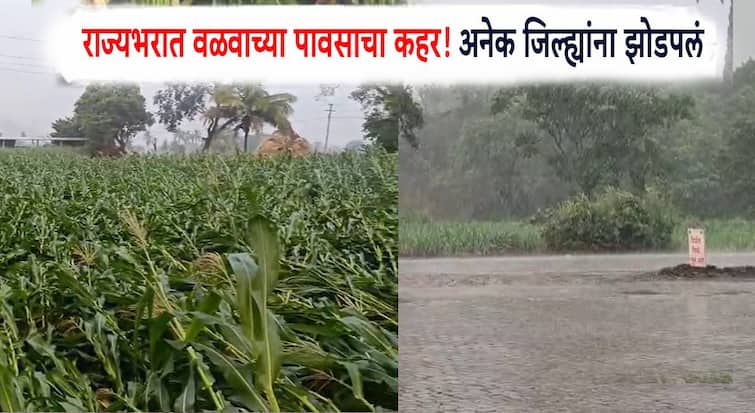 maharashtra weather update unseasonal rains heavy showers hit several areas of maharashtra imd rain alert warned heavy rains imd forecast rain alart Maharashtra Weather Update : मान्सूनच्या आगमनाची तारीख ठरली, इकडे राज्यभरात वळवाच्या पावसाचा कहर! अनेक जिल्ह्यांना झोडपलं, IMDचा इशारा काय?