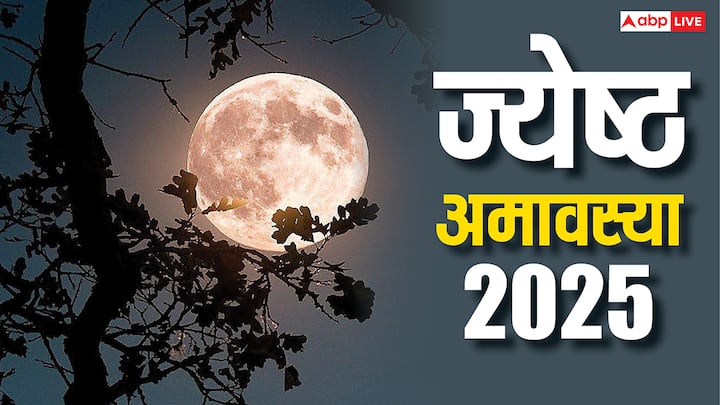 Jyeshtha Amavasya 2025: हिंदू धर्म में ज्येष्ठ अमावस्या का खास धार्मिक महत्व है. इस पावन तिथि पर शनि जयंती और वट सावित्री व्रत का आयोजन भी होता है.इस दिन पुण्य कार्यों का बड़ा महत्व माना गया है.