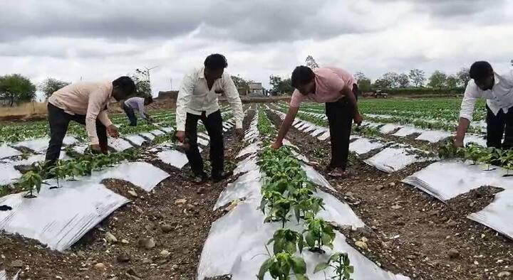 Maharashtra Weather Update : भारतीय हवामान विभागाने (IMD) वर्तविलेल्या अंदाजानुसार महाराष्ट्रातील अनेक भागांमध्ये मुसळधार ते अतिमुसळधार पावसाने (Rain) एकाच दाणादाण उडवली आहे.