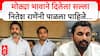 Amol Mitkari On Nitesh Rane : मोठ्या भावाने दिलेला सल्ला नितेश राणेंनी पाळला पाहिजे...